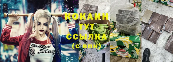 гашик Баксан